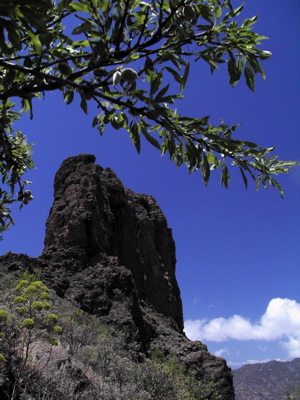 Der Fels ist ein Wahrzeichen von Gran Canaria